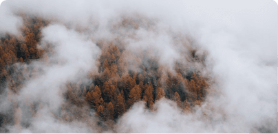 Silver Strings - Resonance